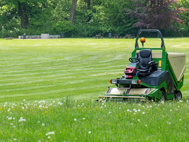 Rasenmäher auf Rasen