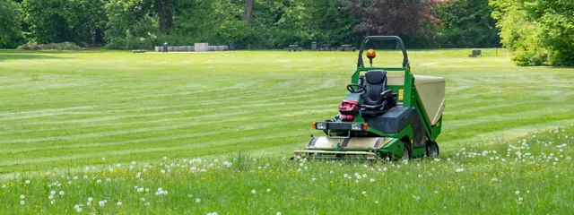 Rasenmäher auf Rasen