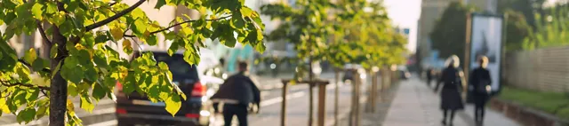 Bäume in der Stadt mit Radfahrer und Fußgänger 