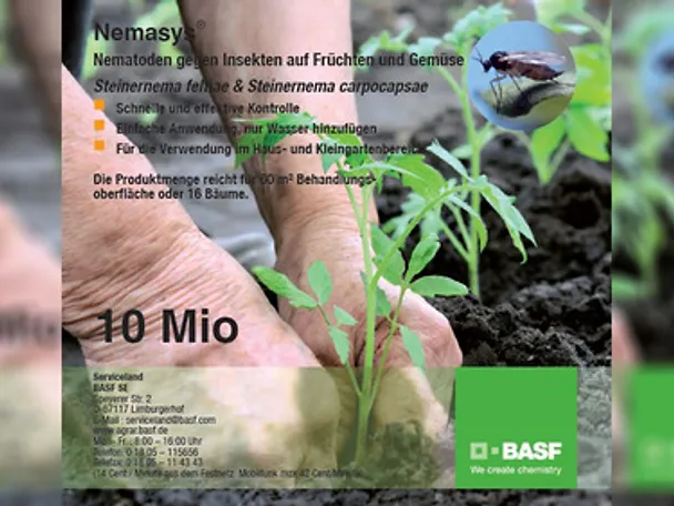 Hände Pflanze Hände Pflanze