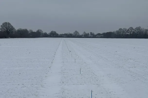 Wintergersten-Exaktversuch auf Gut Hülsenberg im Winter 2026