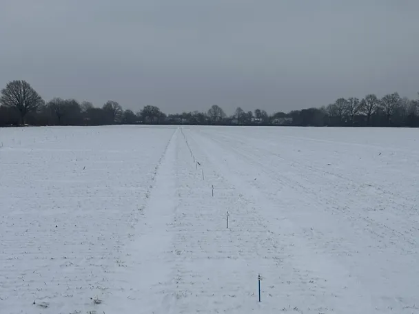 Wintergersten-Exaktversuch auf Gut Hülsenberg im Winter 2026