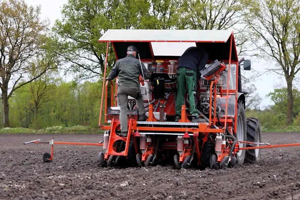 Parzellen-Drillmaschine im Mais
