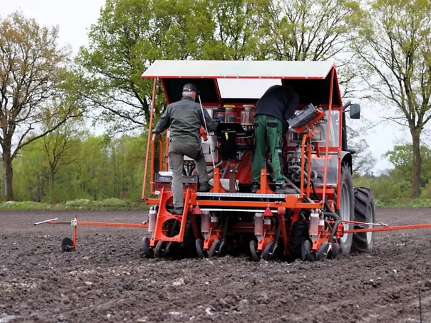 Parzellen-Drillmaschine im Mais