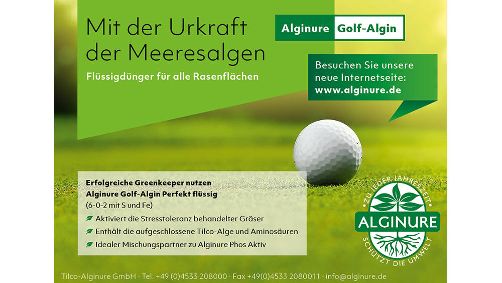 Anzeige Golf Algin