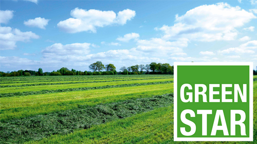 Logo GreenStar und Gras