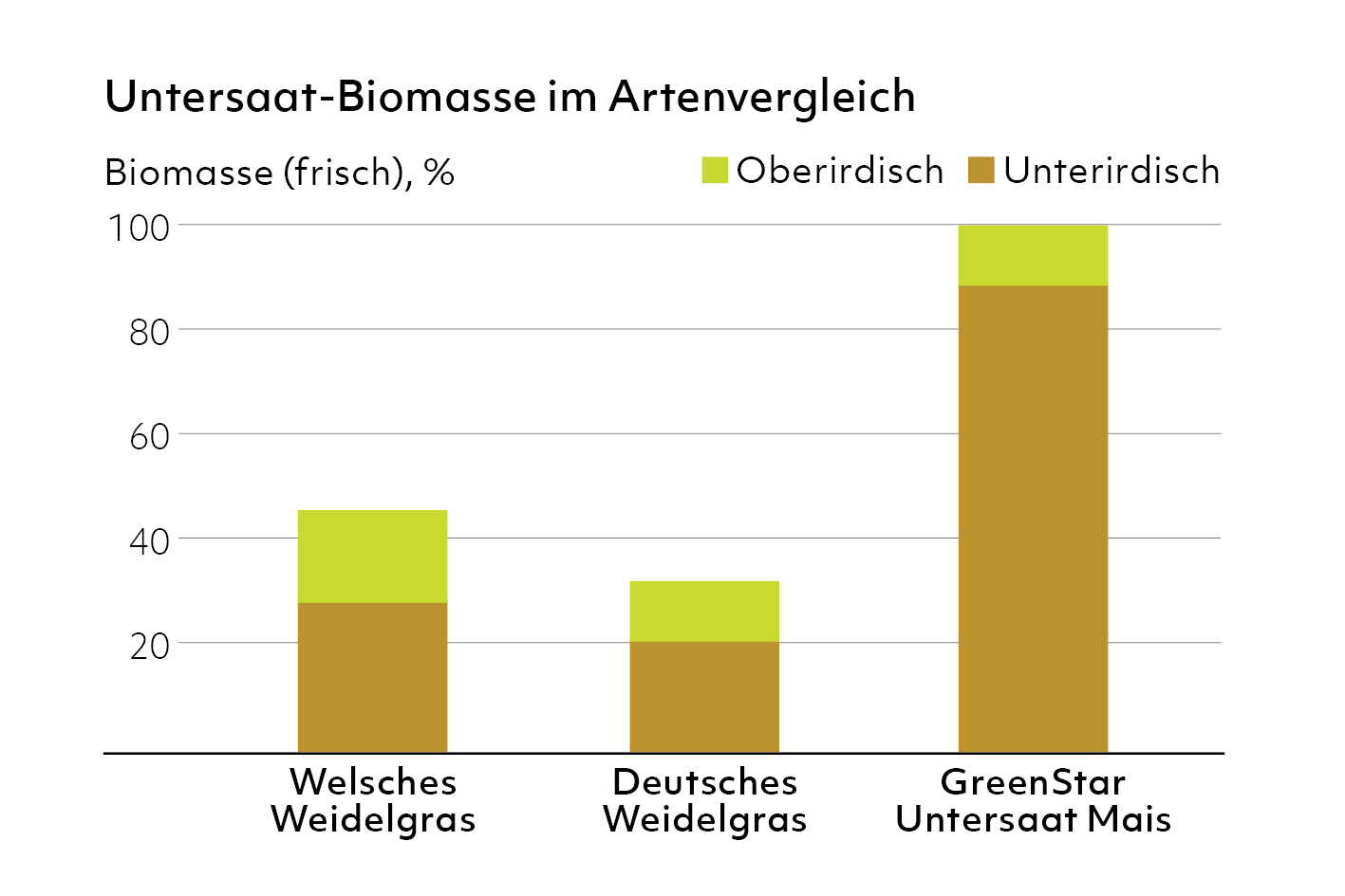 GreenStar Untersaat Mais - Biomasse Artenvergleich