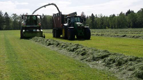 Grasschnitt Gut Hülsenberg