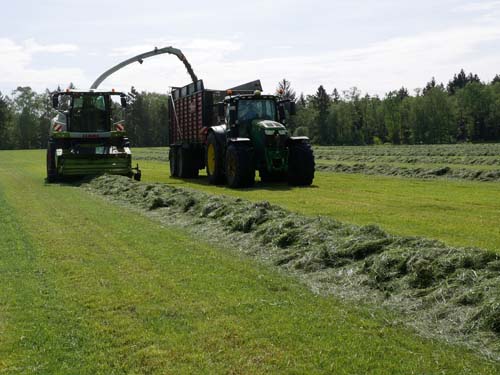 Grasschnitt Gut Hülsenberg