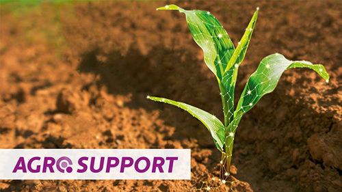 Alginure Agro.Support Maispflanze
