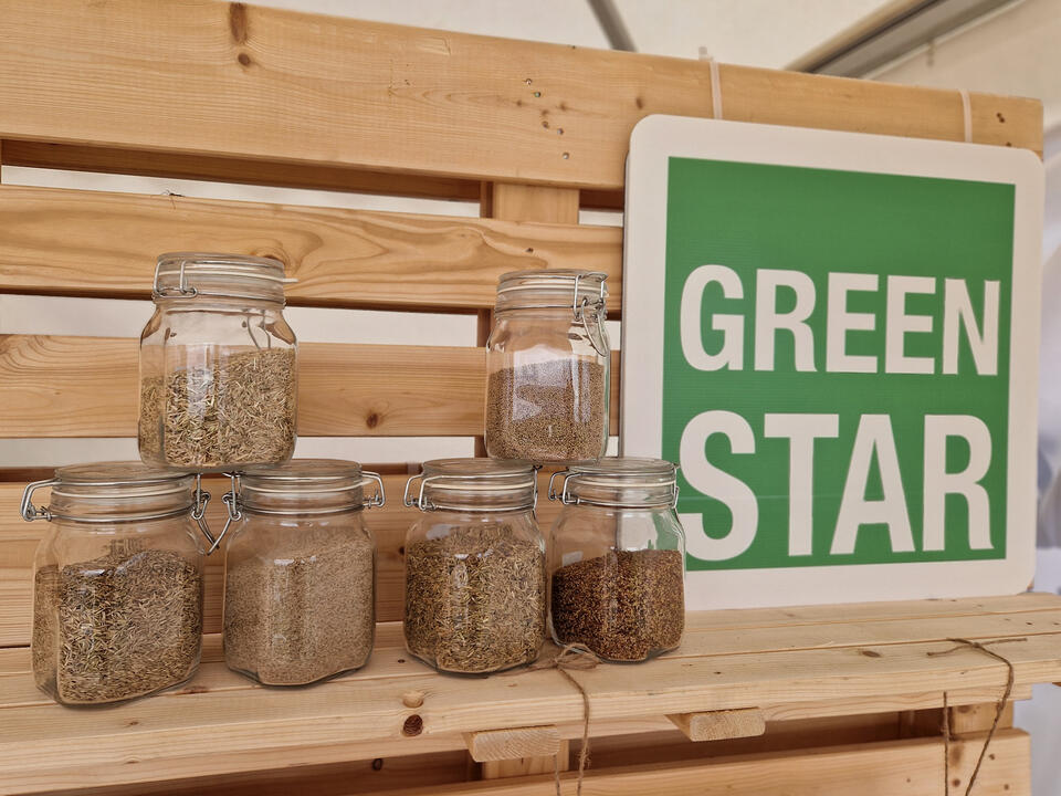 Gläser GreenStar-Mischungen